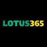 Lotus365 Game