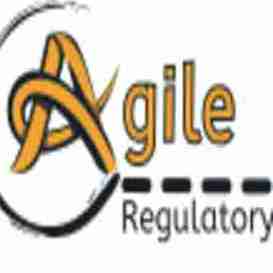 Agile Regulatory