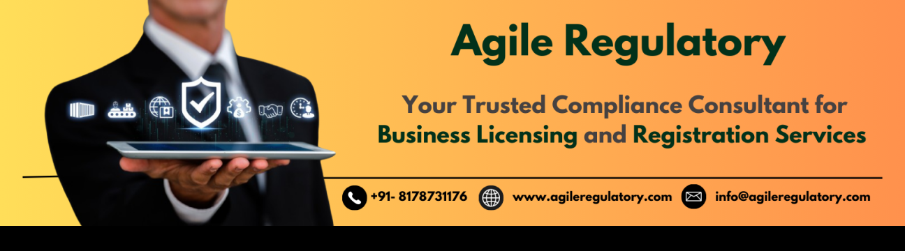 Agile Regulatory