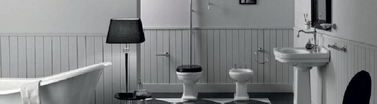 Saniterica  Ca