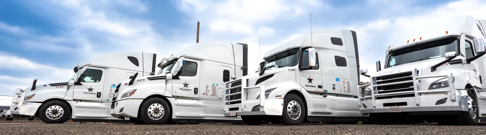 Expert Trainers Academy