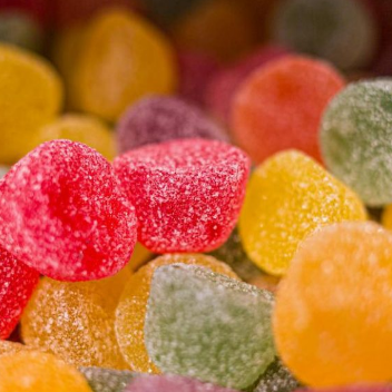 Catgvdsgds CBfsdsdmmies