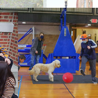 Wye River Upper School