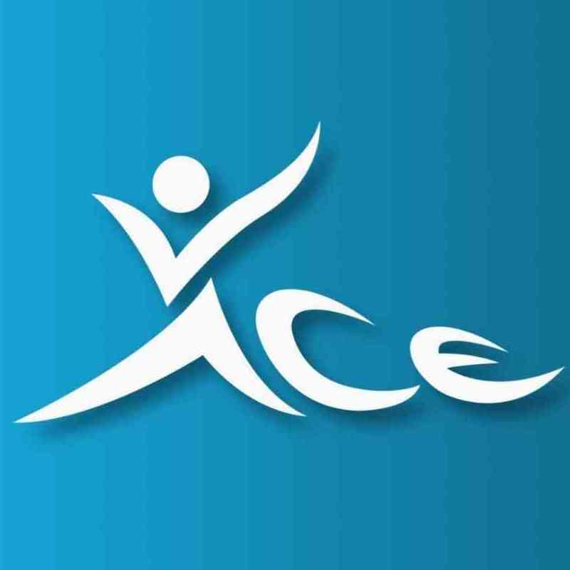 Ace Volleyball Academy