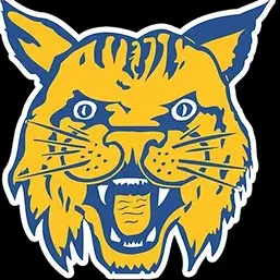 Saraahromni Saraahromni