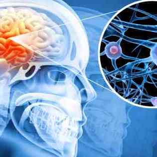 Prostate Max Reviews