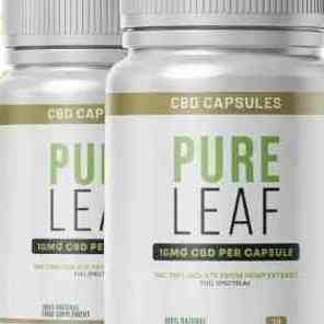 PureLeaf CBD