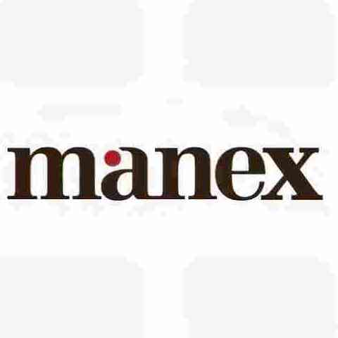 Manex Consulting