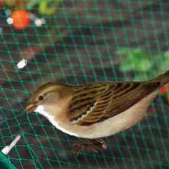 Rudhdigital Rudhdigital