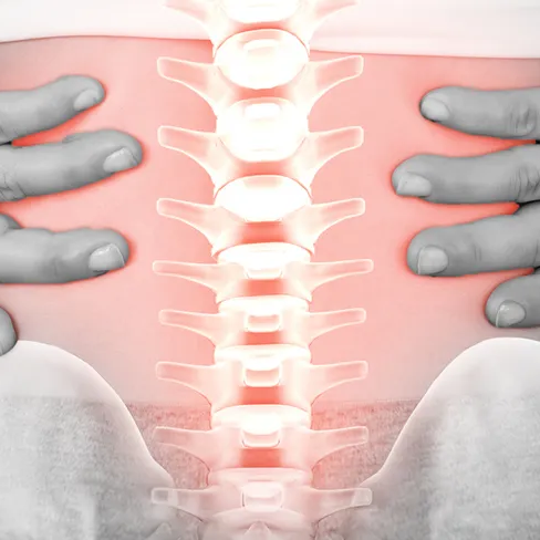 Bingle  Chiropractic Clinic