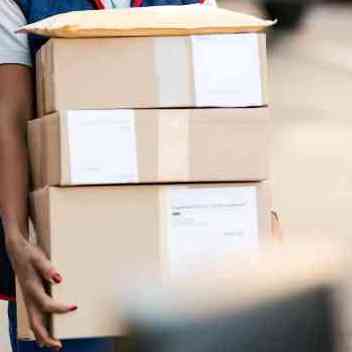 Transvex International 