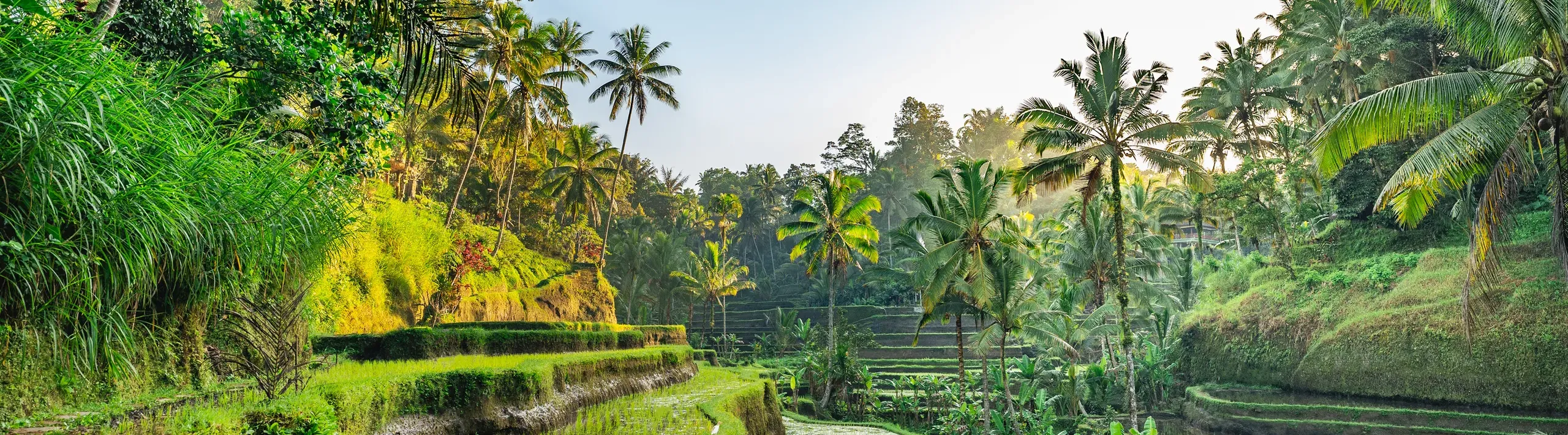Beautiful Bali Villas