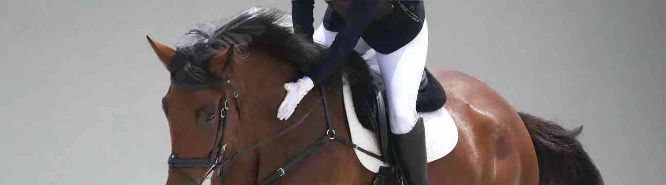 Canter  Cart