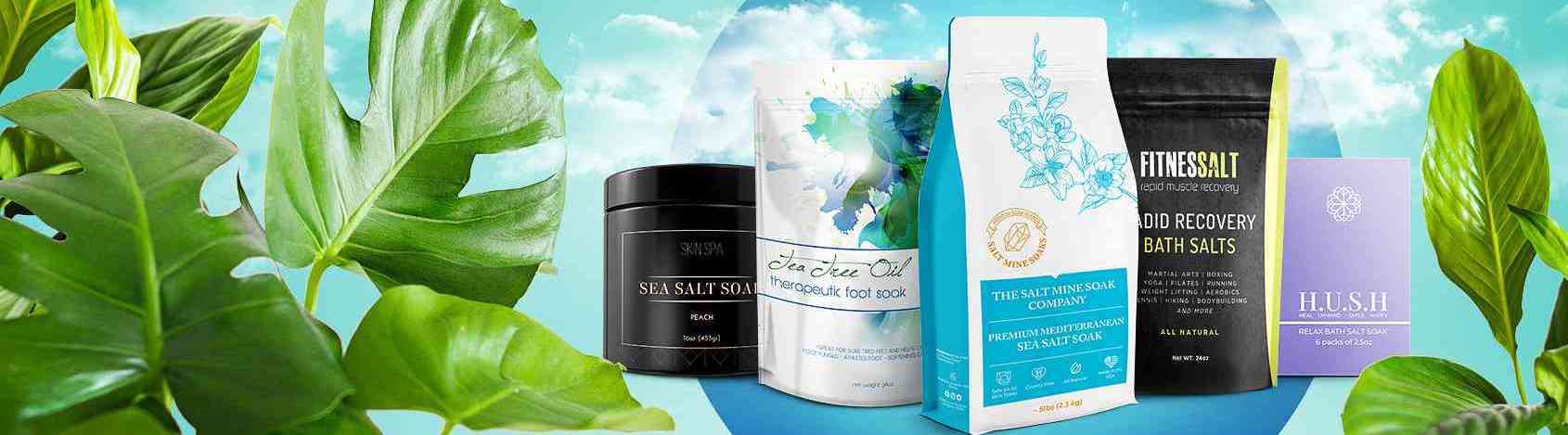 The Midwest Sea Salt Company Inc