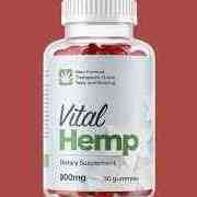 VitalHemp Gummies