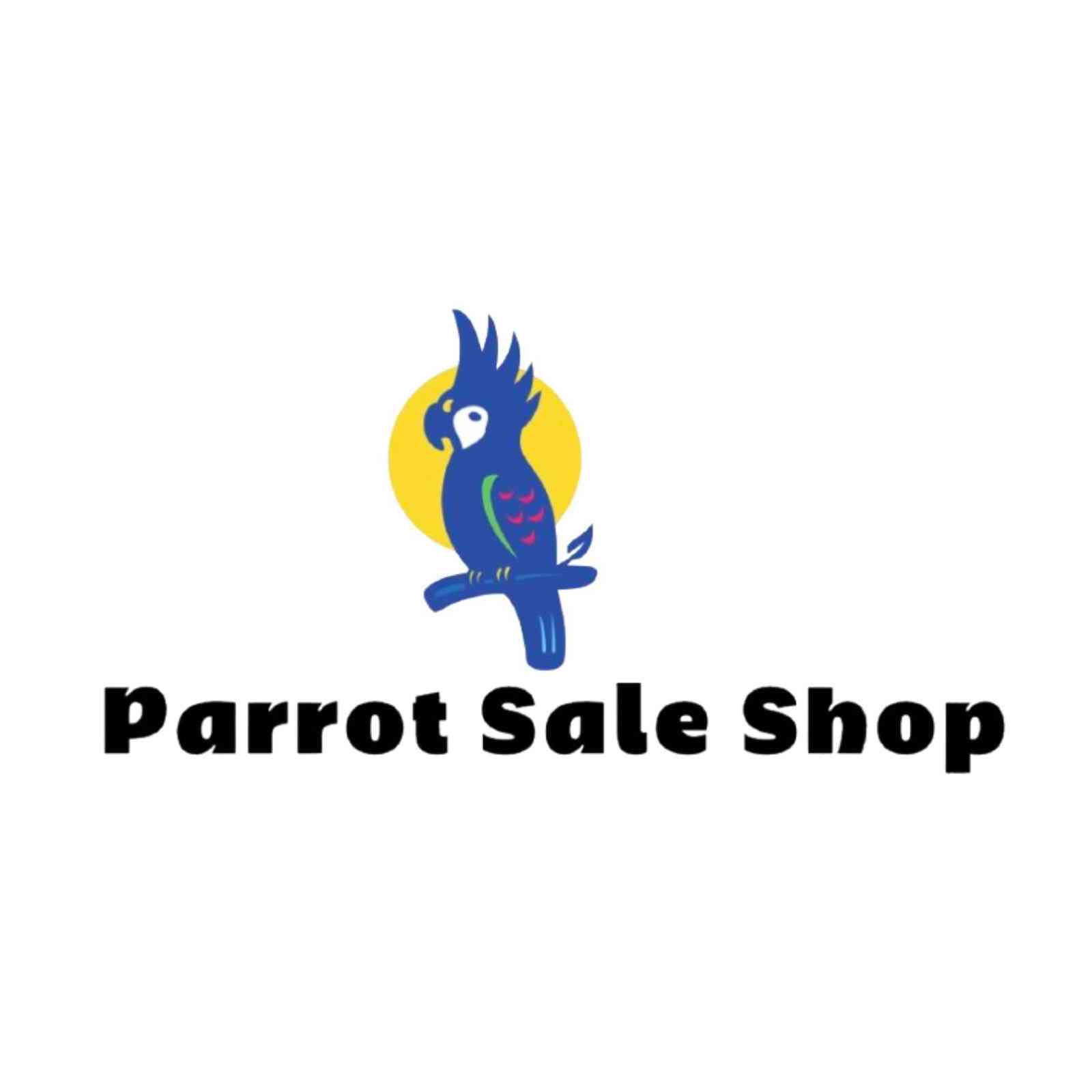 Parrot Sale Shop Shop