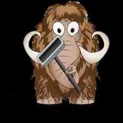 Mammoth Cleaners Inc