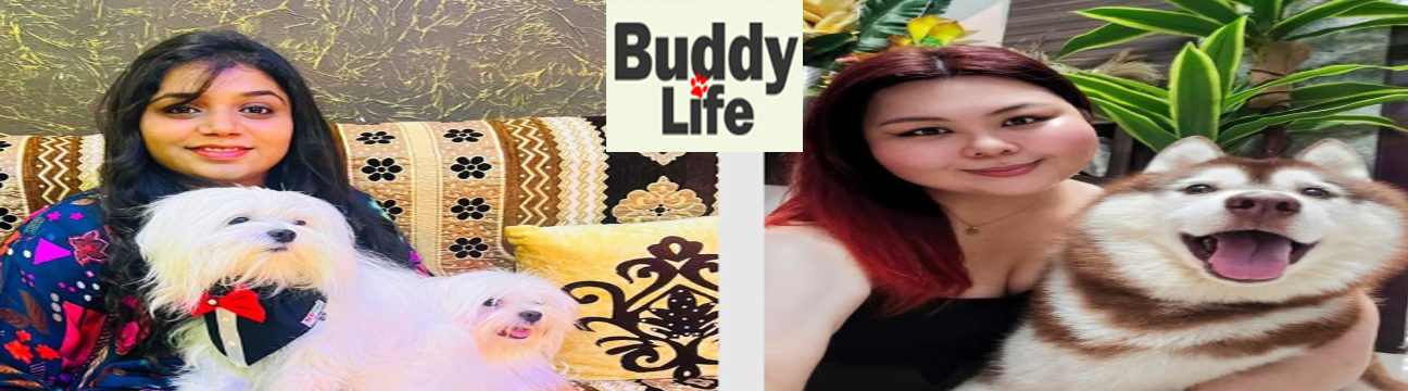 Buddylife Magazine