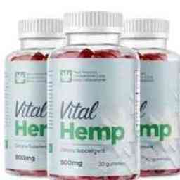 Vital Hemp