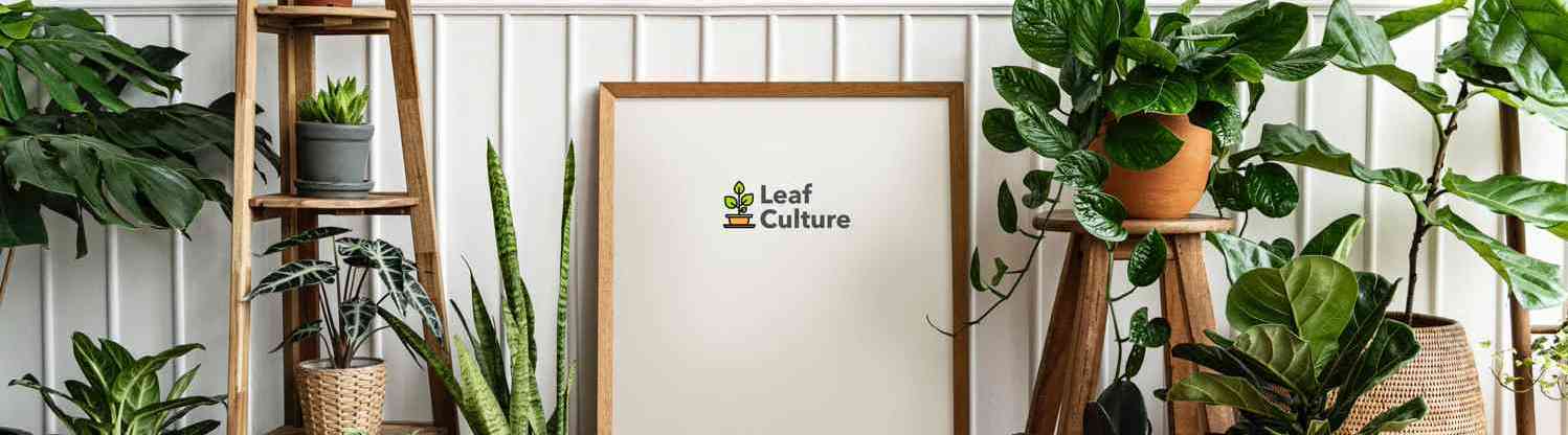 Leaf Culture