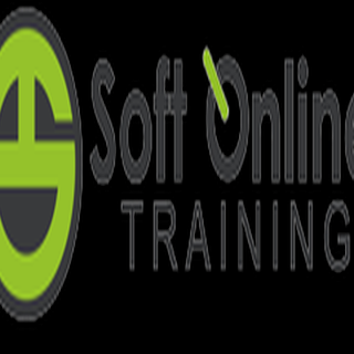 Soft Online Training