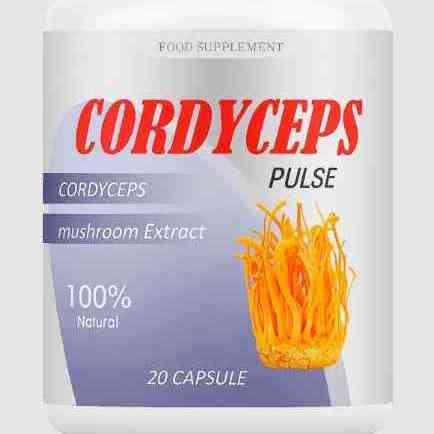 Cordyceps Pulse India