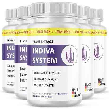 Indivia System  Price In Germany