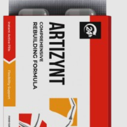 ArtiZynt Italy