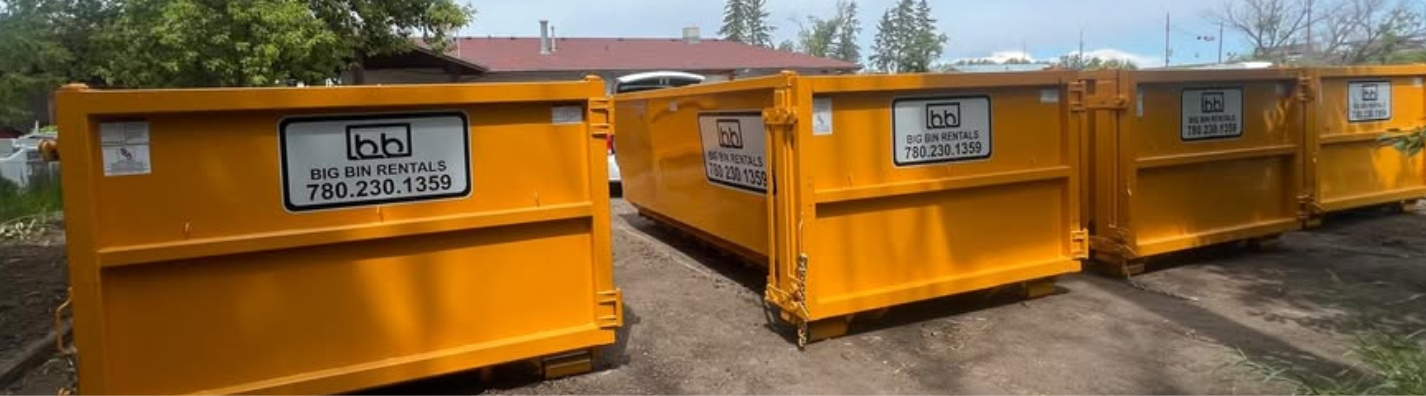 Big Bin Rentals