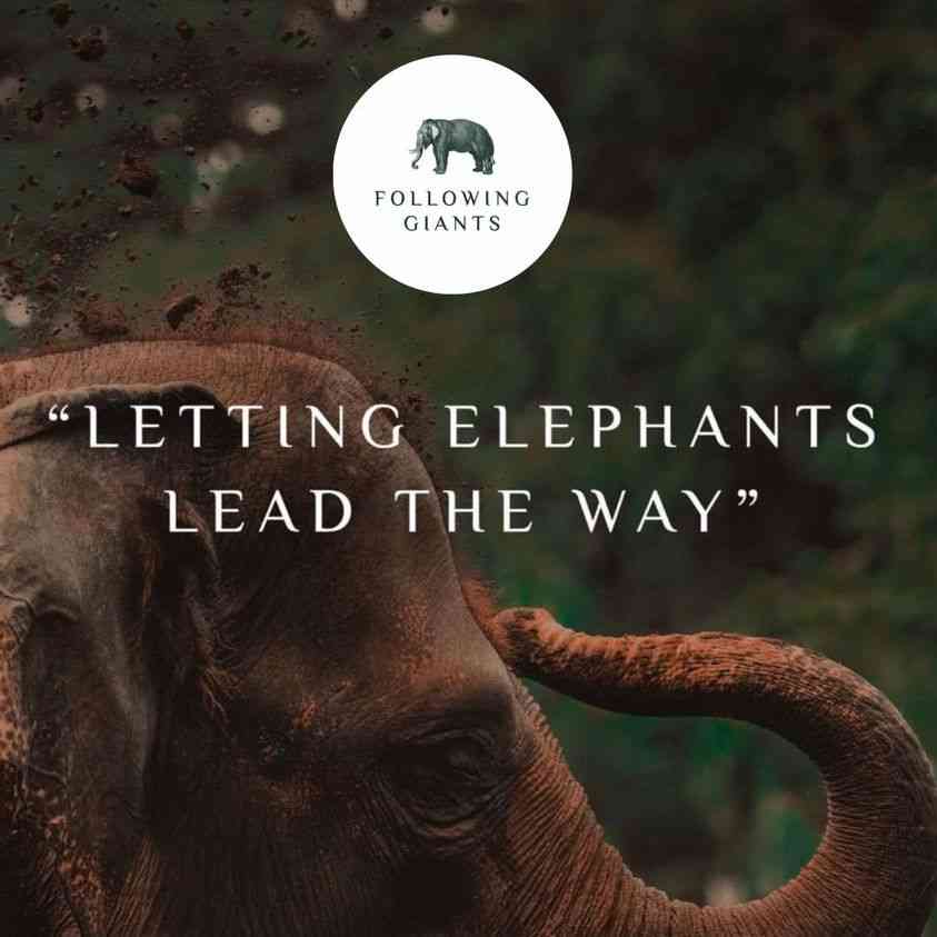 Following Giants