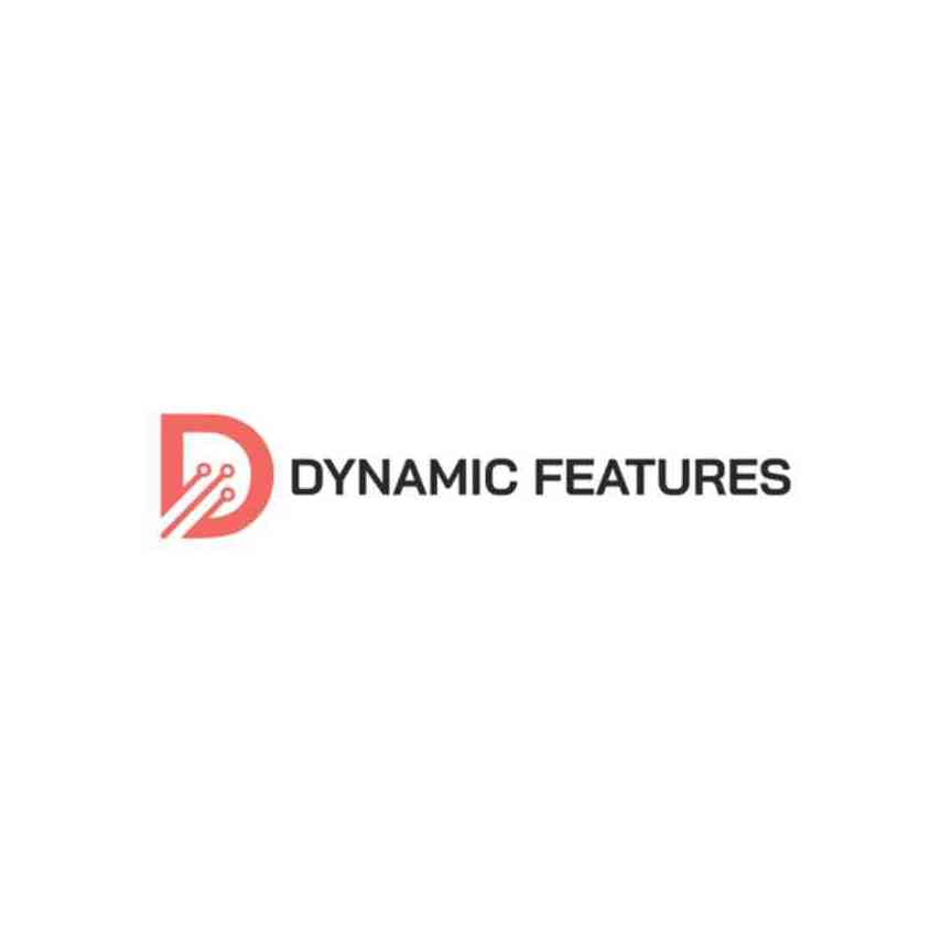 Dynamic Features