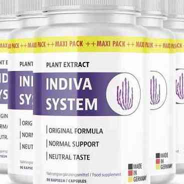 Indivia System Price In Germany