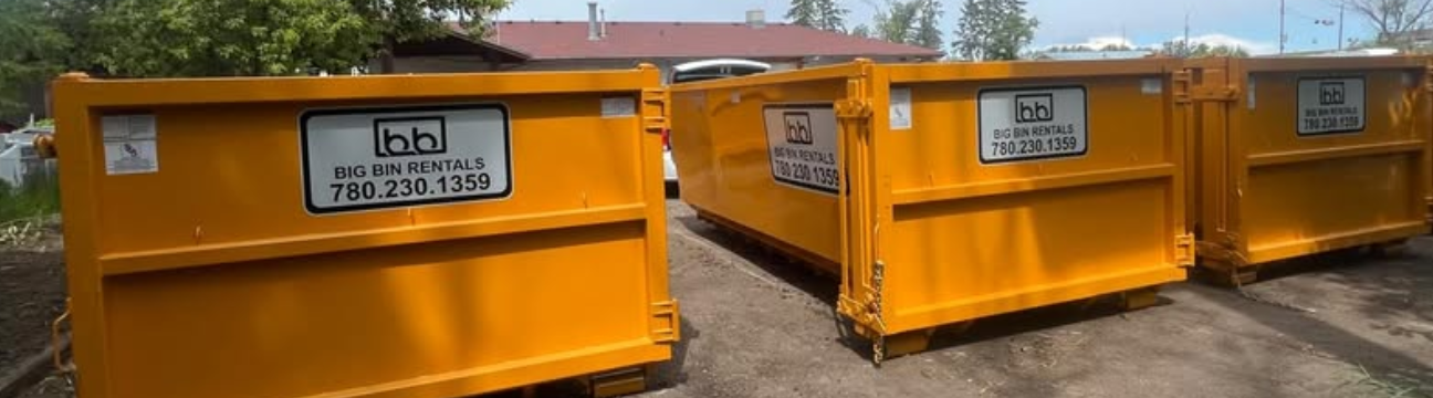 Big Bin Rentals
