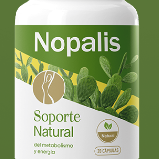 Nopalis Mexico