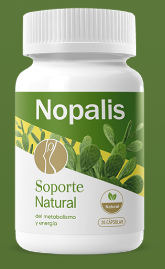 Nopalis Mexico