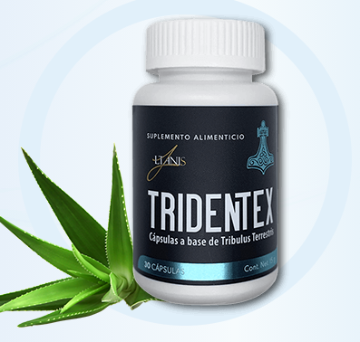 Tridentex Tridentex