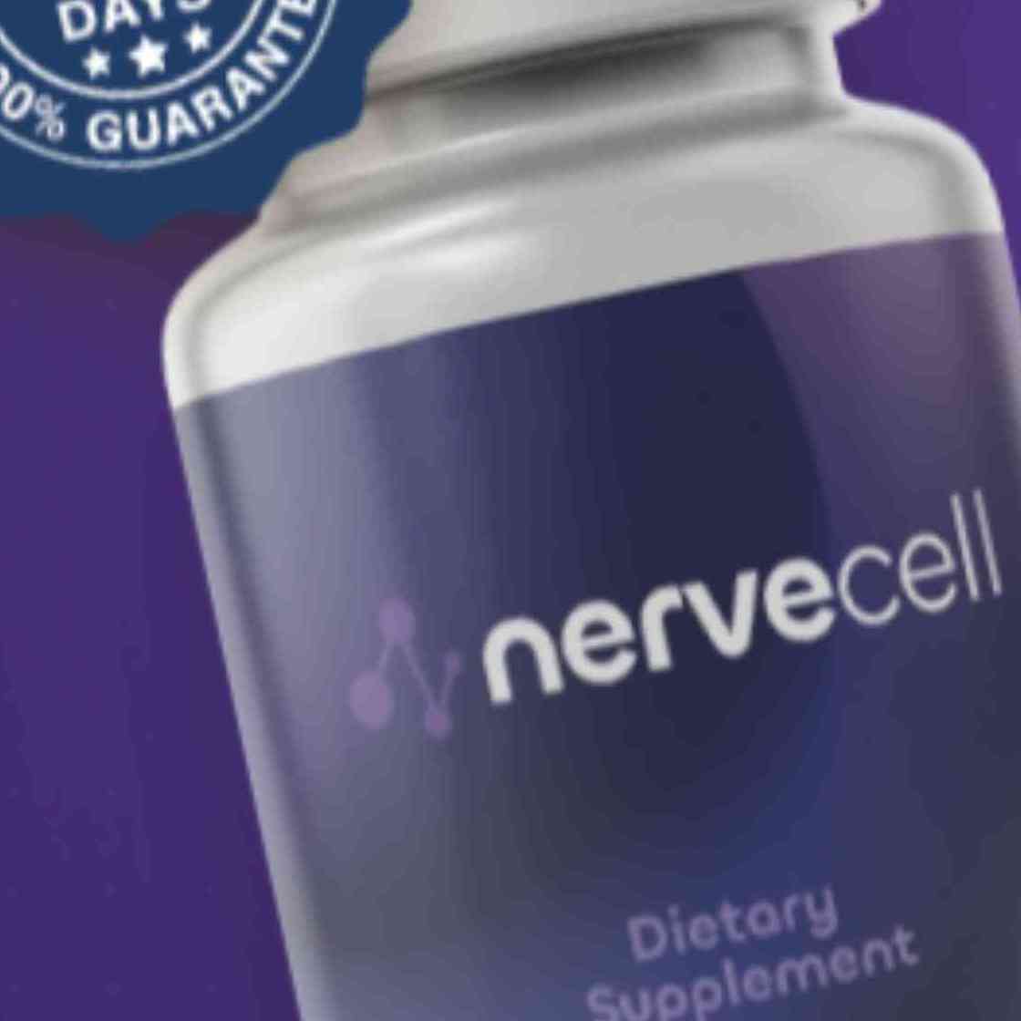 Nerve Cell