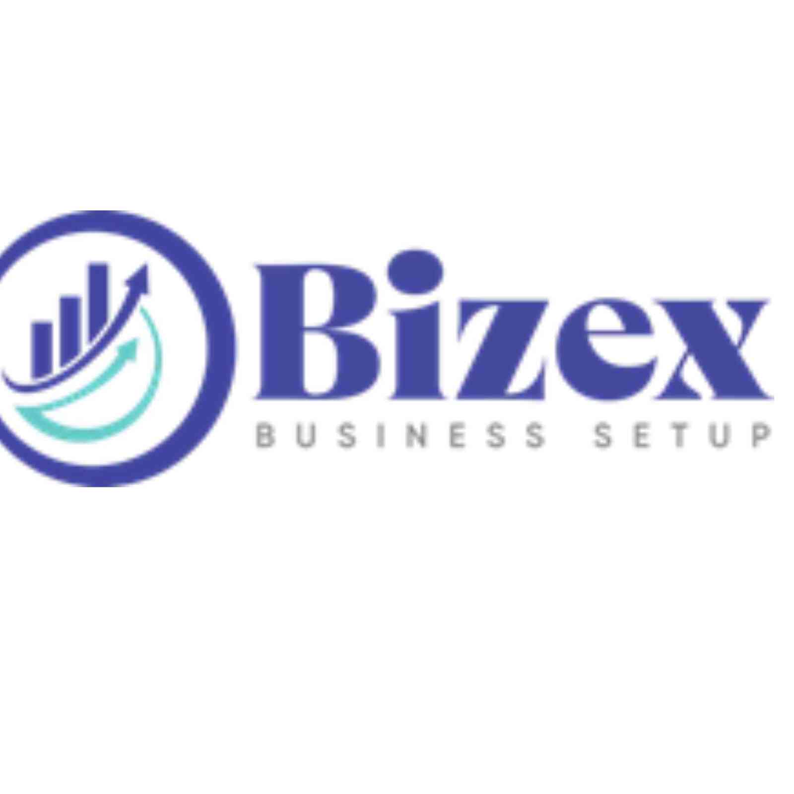 Bizex LLC