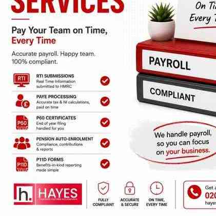 Hayes Accountants