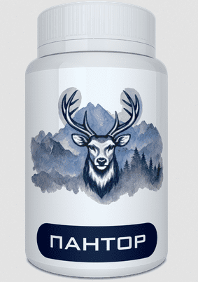 Pantor Pantor