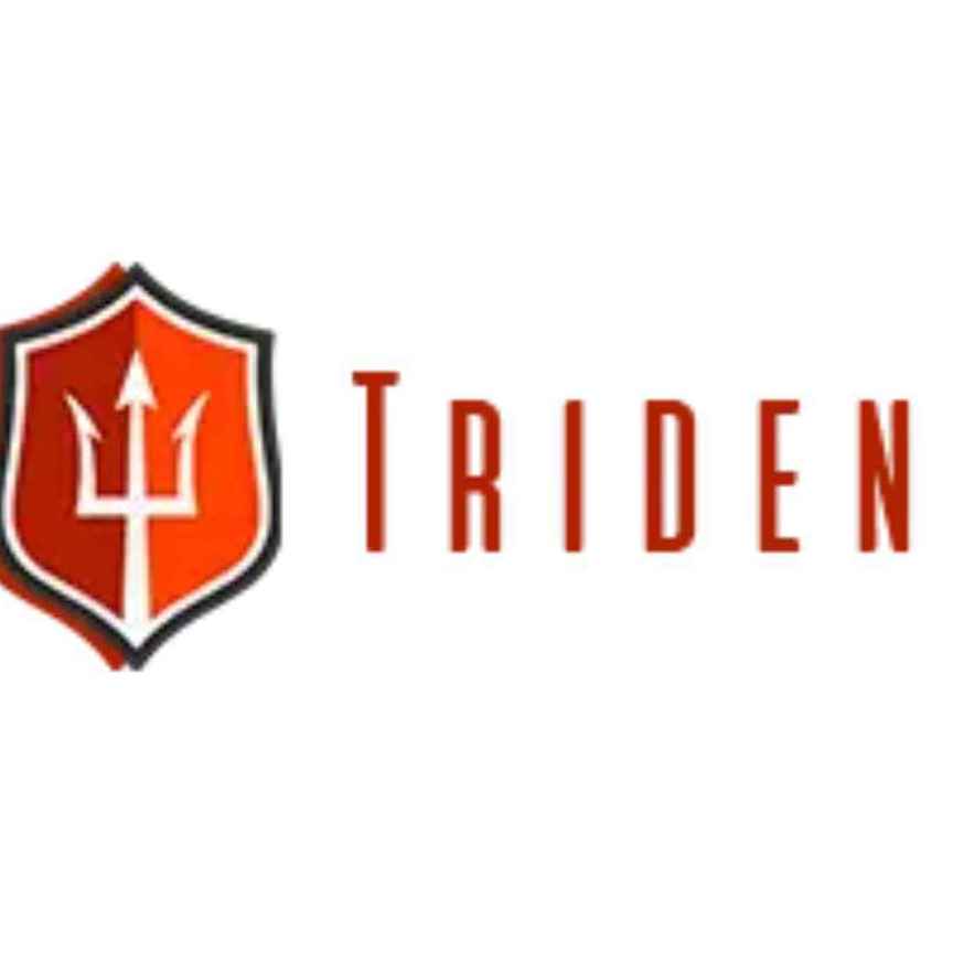 Trident Shipping & Trading Pte. Ltd.