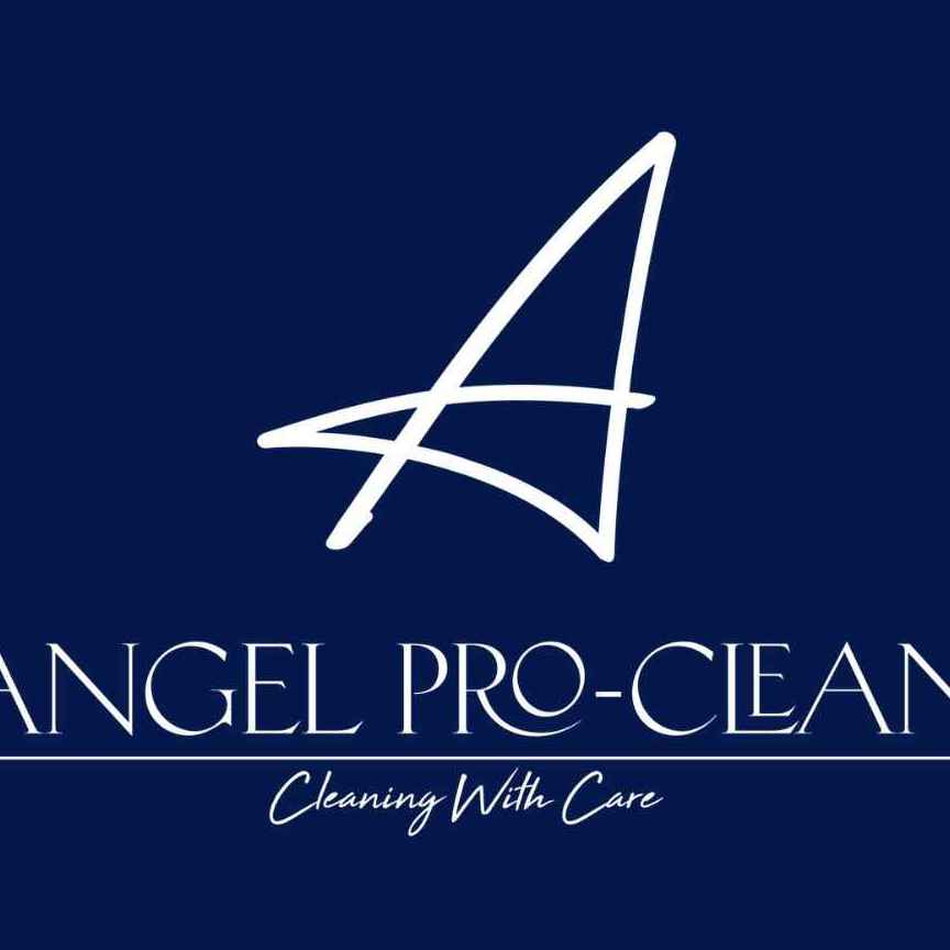 Angel Pro-Clean